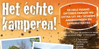 Aart Kok Experience