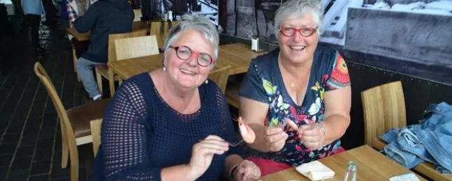 Aart Kok vouwwagen kopen