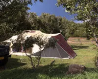 Aart Kok Zambezi River Lodge hardtop Tenttrailer kopen