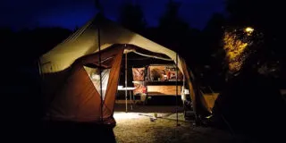 Aart Kok Livingstone Game Drive Tenttrailer kopen