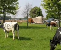 Aart Kok Livingstone River Camp vouwwagen op de camping