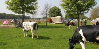 Aart Kok Livingstone River Camp vouwwagen op de camping