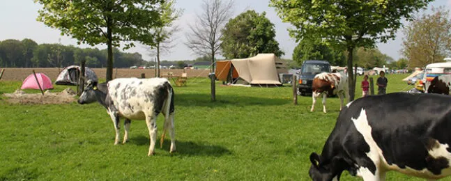 Aart Kok Livingstone River Camp vouwwagen op de camping