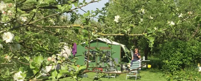 Groene Aart Kok vouwwagen op de camping