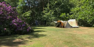 Groene Zambezi River Camp op camping