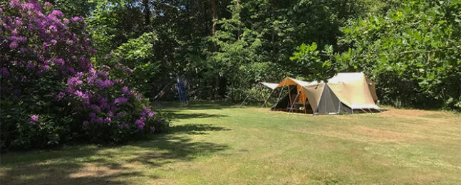 Groene Zambezi River Camp op camping