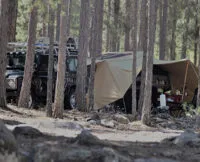 Aart Kok Zambezi River Lodge hardtop Tenttrailer in het bos