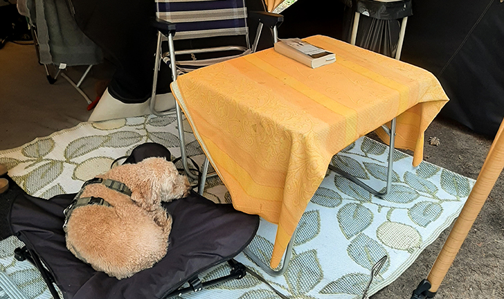 Aart Kok Tuareg vouwwagen met hond
